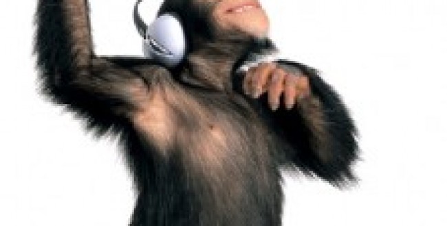 jack effel monkey 227x300