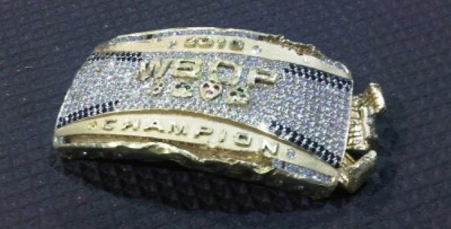 Duhamel Bracelet Destroyed 400x300