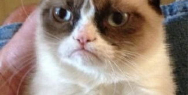 GrumpyPoker 243x300