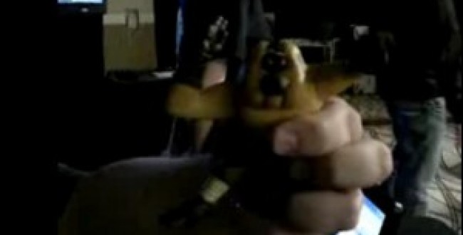 Monkey 300x193