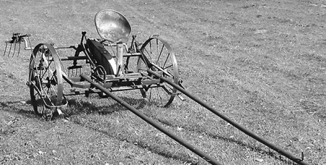 rake