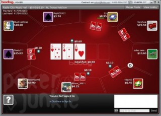 usa online poker